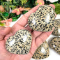 Dalmatian Jasper Crystal Heart, Dalmatian Jasper Gemstone Hearts, Dalmatian Jasper Heart Shaped Healing Stones, Home decor crystal - Healing Crystal for Energy, Meditation, and Balance