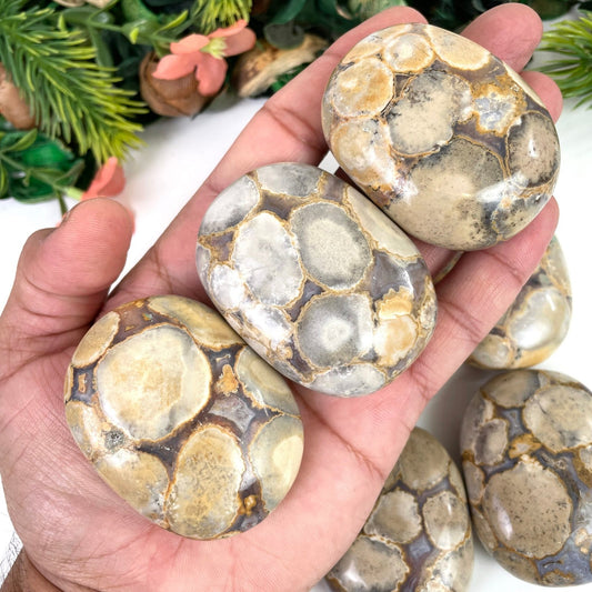 Yellow Cobra jasper Palm Stone | Healing Crystal - Healing Crystal for Energy, Meditation, and Balance