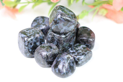 Wholesale Indigo Gabbro Tumbled Stone/ Polished Stone Crystal Tumble Stone 1 LB Bag - Healing Crystal for Energy, Meditation, and Balance