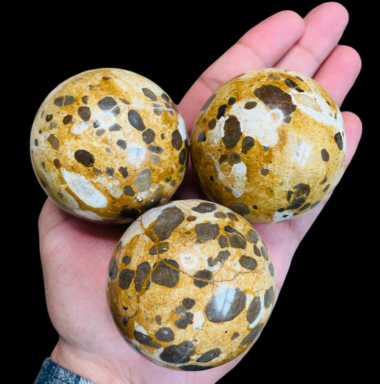 Leopard Skin Jasper Crystal Ball 56-57mm - Healing Crystal for Energy, Meditation, and Balance
